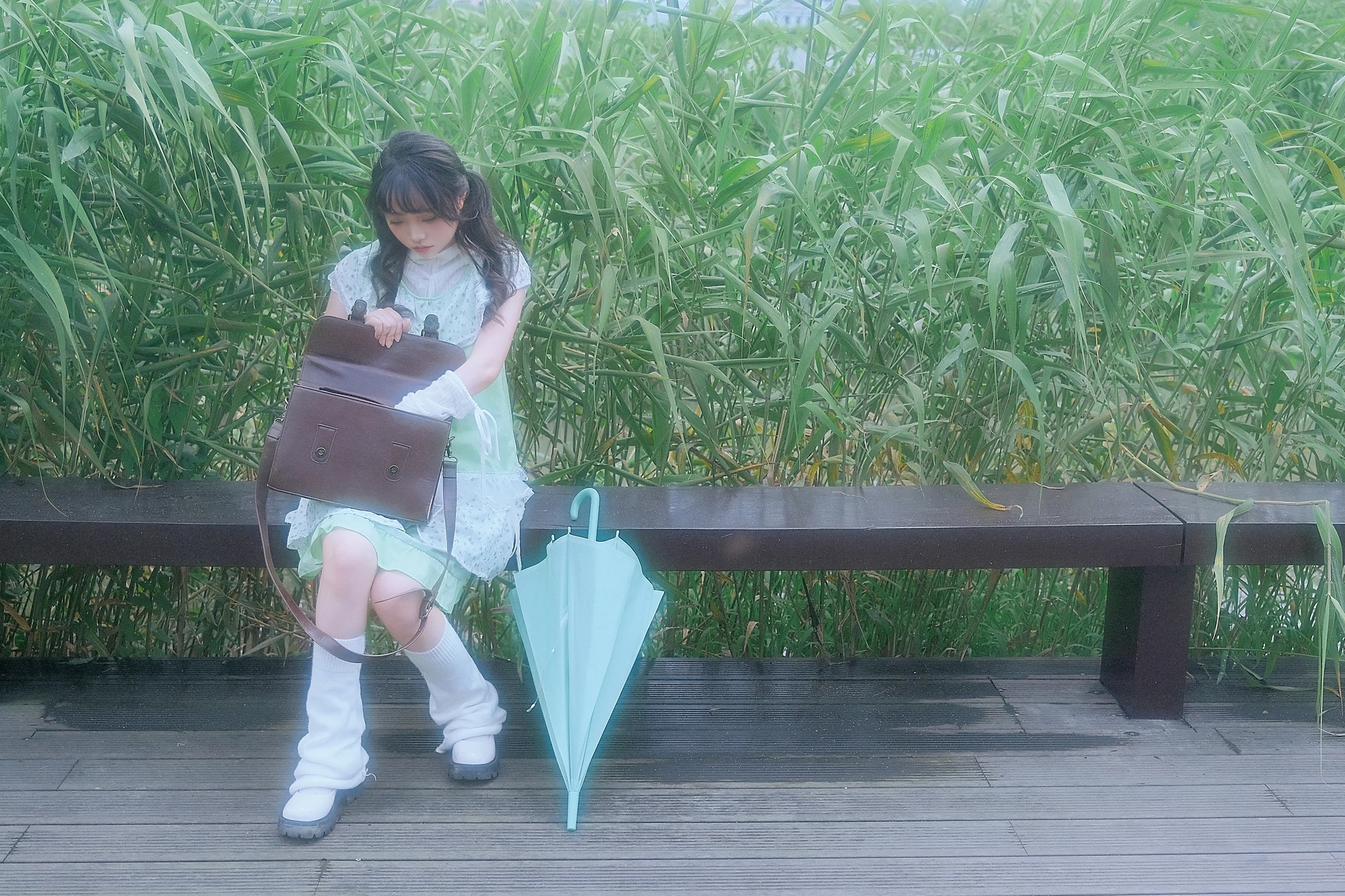 2025.02.10 薄荷 1