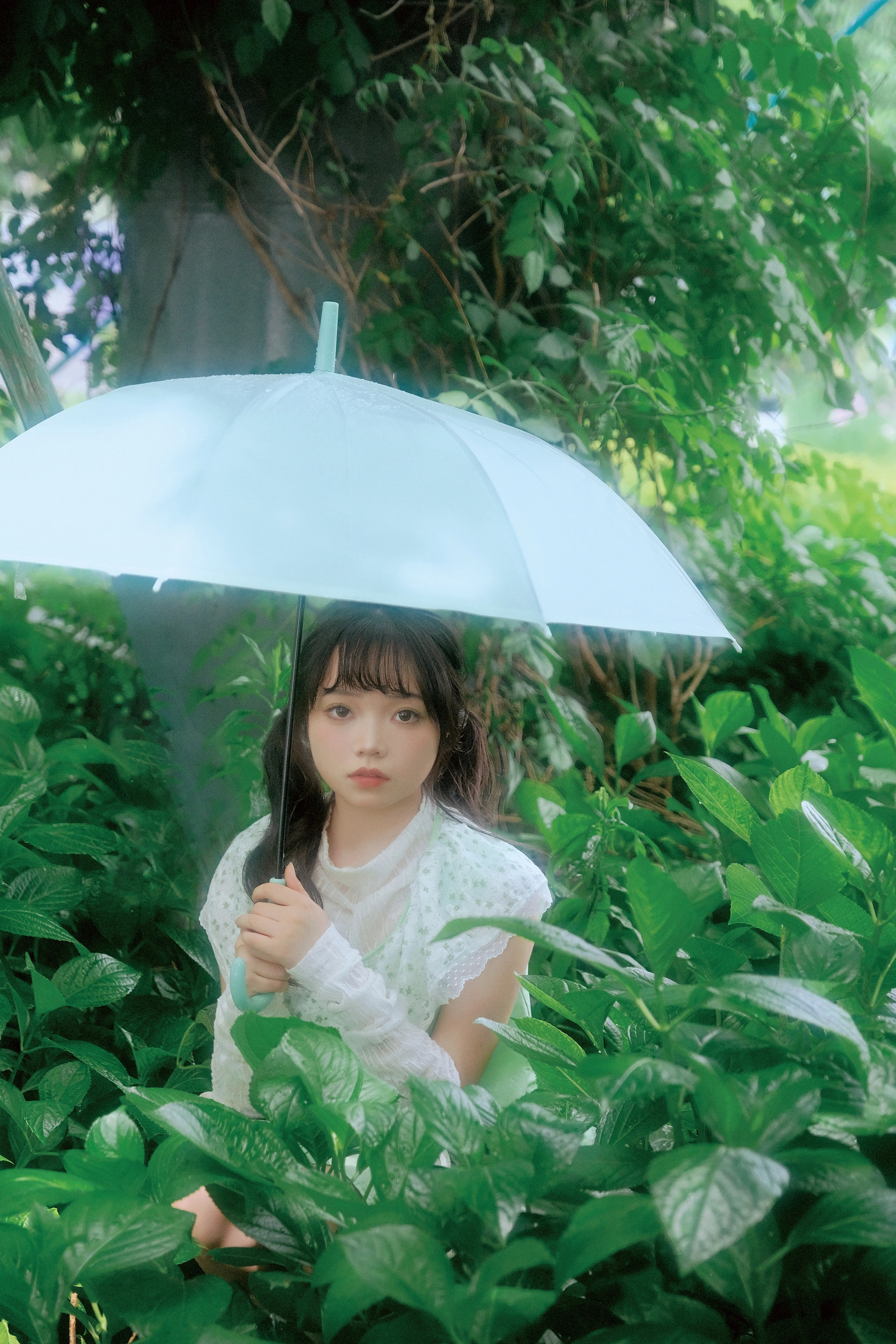 2025.02.10 薄荷 2